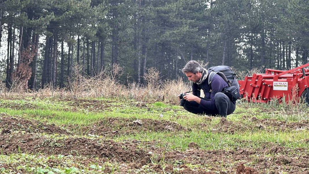 Dünyanın en pahalı baharatı Safranbolu'da yetişiyor! Gıda, ilaç ve kozmetikte kullanılan mucize 4